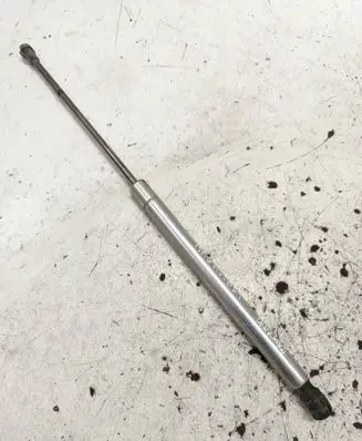 Tailgate/trunk strut/damper