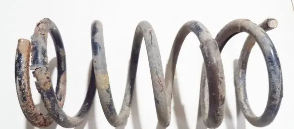 Rear coil spring