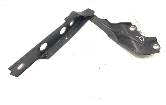 Engine bonnet/hood hinges