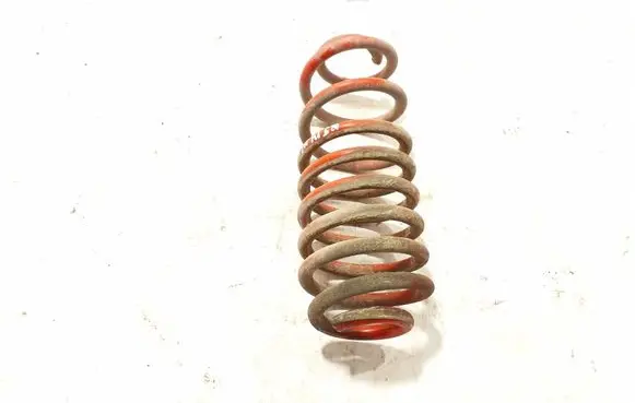 Rear coil spring