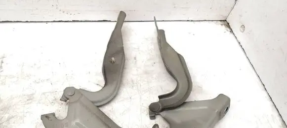 Engine bonnet/hood hinges