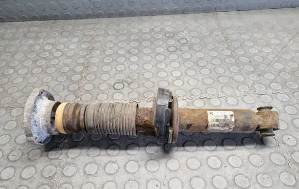 BMW X3 F25 Rear shock absorber/damper 6796317