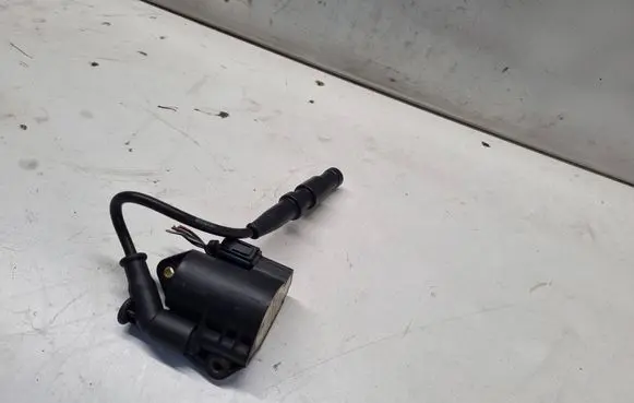 Mercedes-Benz CLS C219 High voltage ignition coil ZS0013 19005268 A0009060060