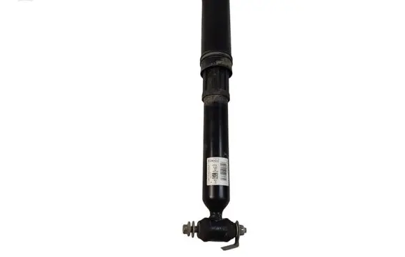 Ford Mustang Mach-E Rear shock absorber/damper LJ9C18080 LJ9C18080ABG LJ9C18A116