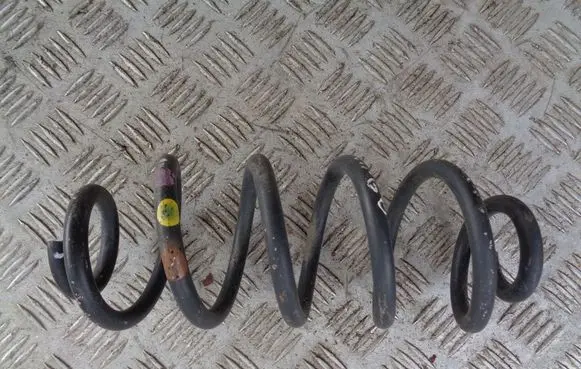 Rear coil spring