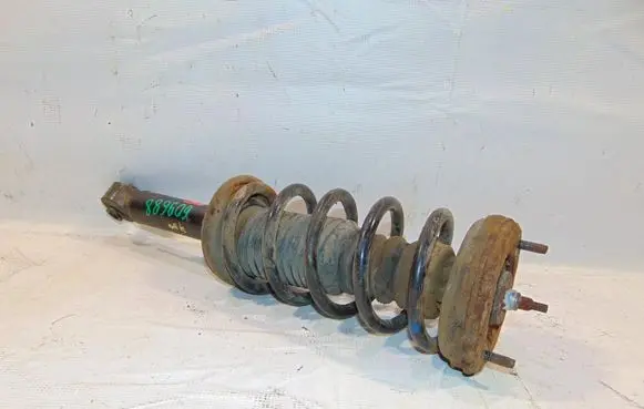 Nissan Almera Rear shock absorber/damper 562100N325 341186 550200M713