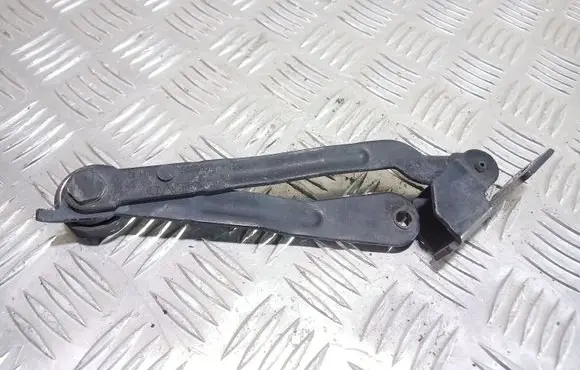 Tailgate/trunk/boot hinge