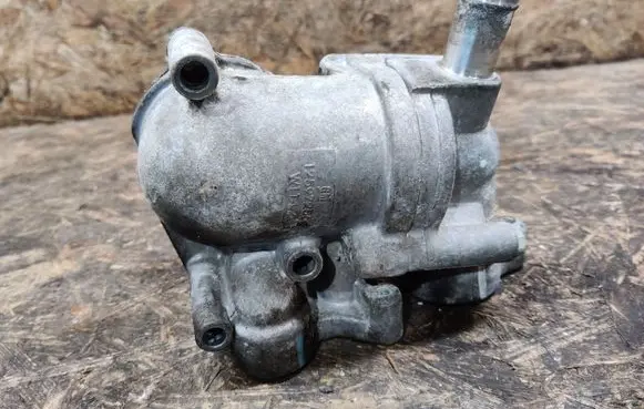 Thermostat/thermostat housing