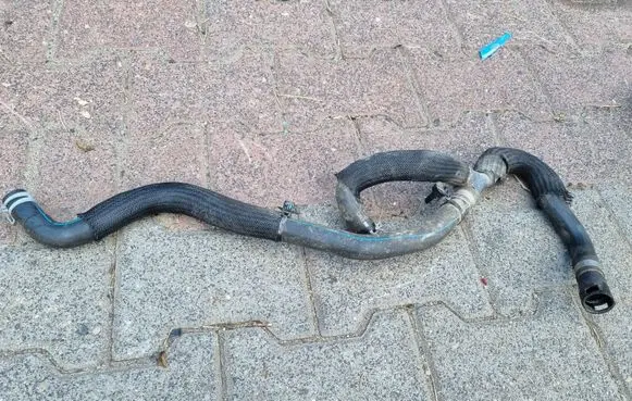 Ford Kuga III Engine coolant pipe/hose LX61-8C351-DAG