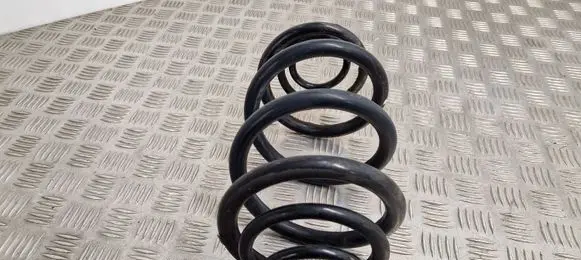 Rear coil spring