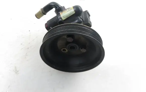 Fiat Punto (188) Power steering pump 55183805