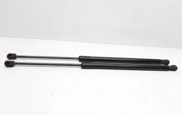 Tailgate/trunk strut/damper