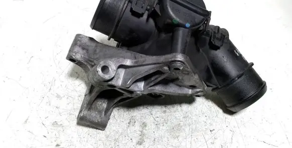 Citroen Berlingo Throttle valve 9660030580