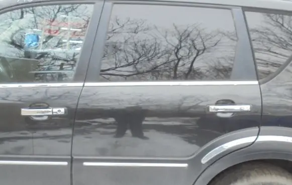 SsangYong Rexton Rear door