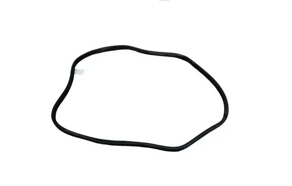 BMW 3 G20 G21 Trunk rubber seal (body) 7430617