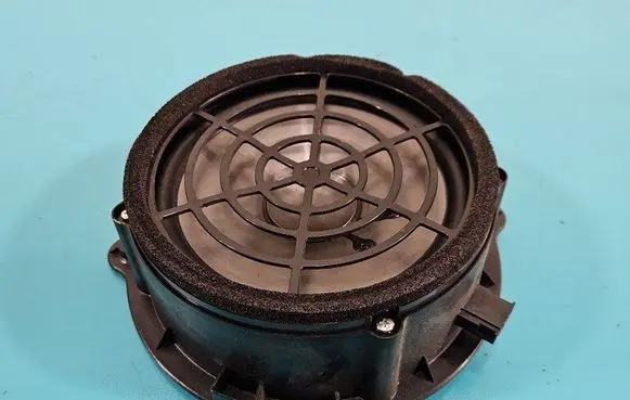Front door speaker