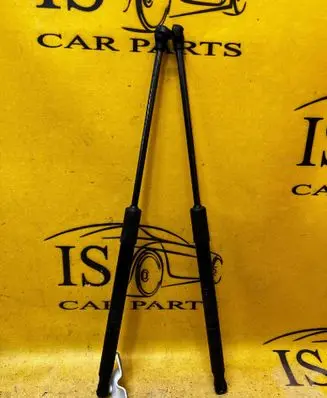 Dacia Sandero III Tailgate strut 904529961R 904525475R