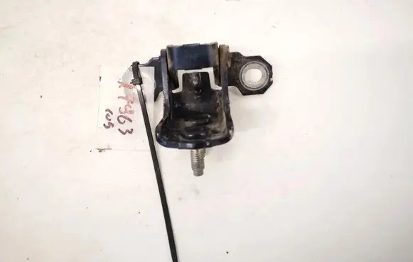 Rear door lower hinge