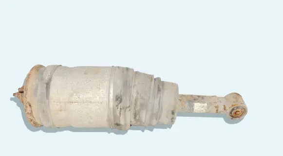 Land Rover Range Rover Sport L320 Rear shock absorber/damper 6498724