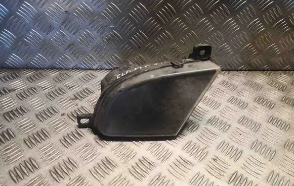Front fog light