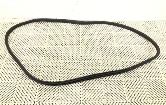 BMW X1 U11 Rubber seal front door (on door) 