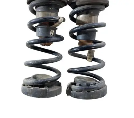 Rear coil spring