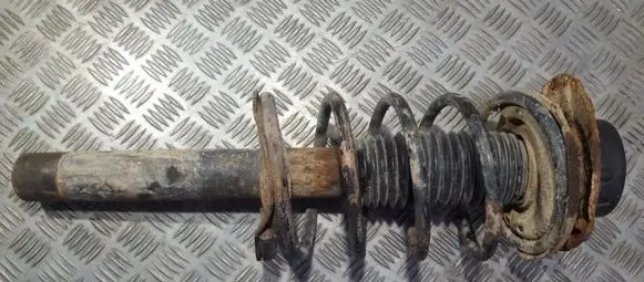 Peugeot 206 Front shock absorber/damper