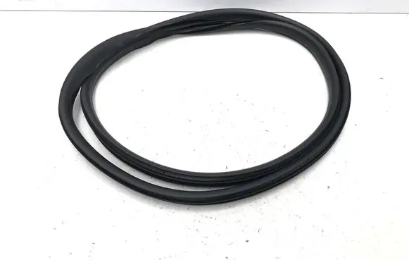 Renault Scenic E-Tech V Rear door rubber seal (on body) 