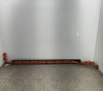 Tesla Model 3 Other wiring loom 110900300E