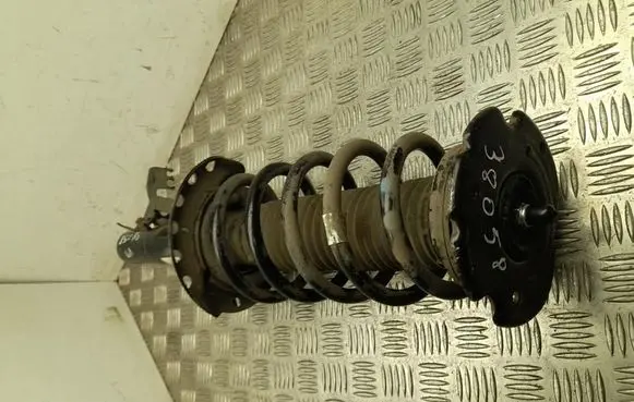 Land Rover Range Rover Evoque L551 Front shock absorber with coil spring K8D218K001AB