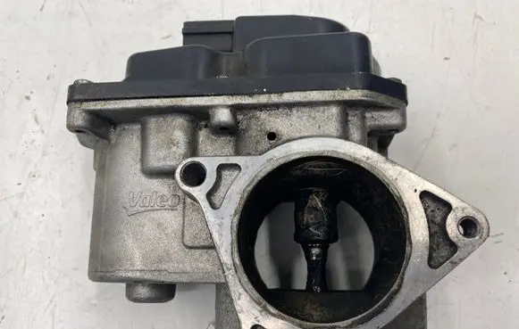 EGR valve