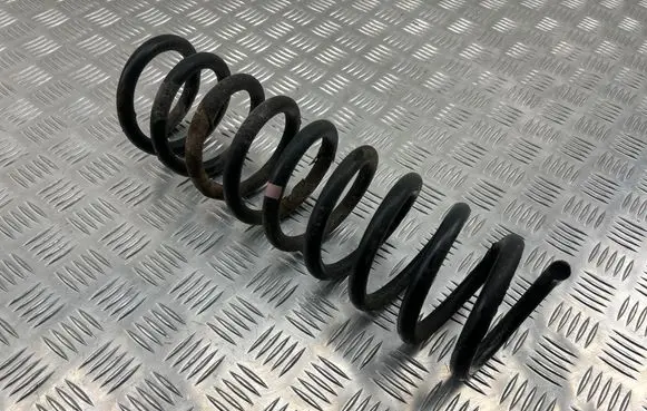 Rear coil spring
