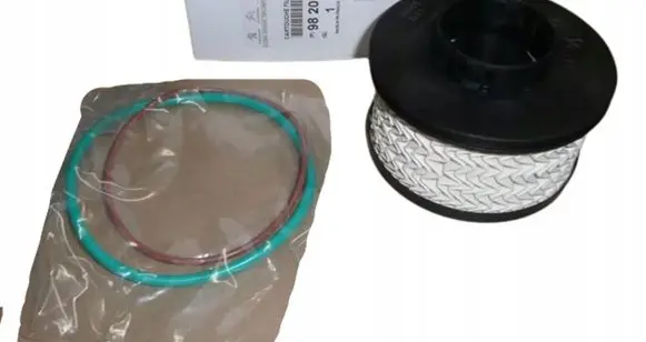 Citroen Berlingo Fuel filter 9820226380