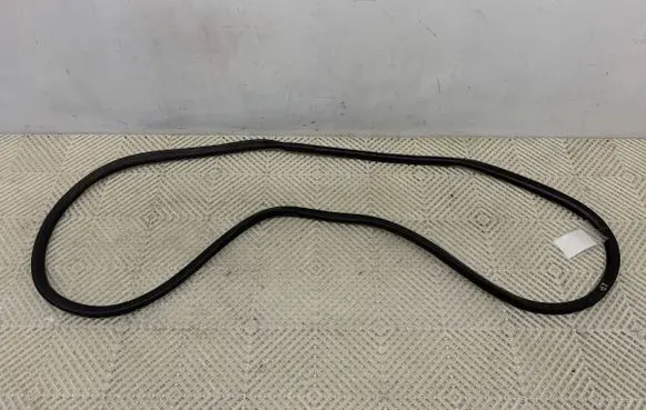 Opel Vivaro Rubber seal front door (on door) 9806514880