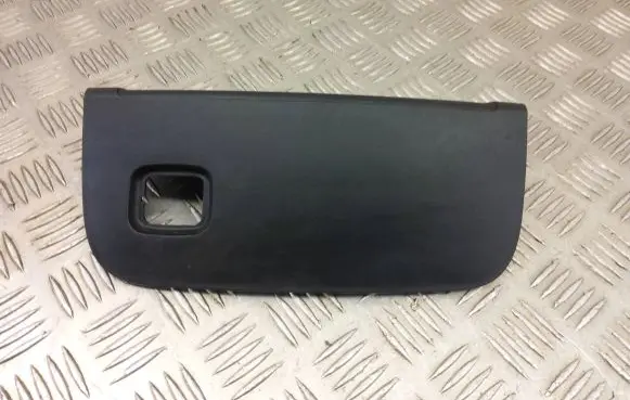 Tesla Model 3 Engine bonnet/hood lock trim molding 109585900d