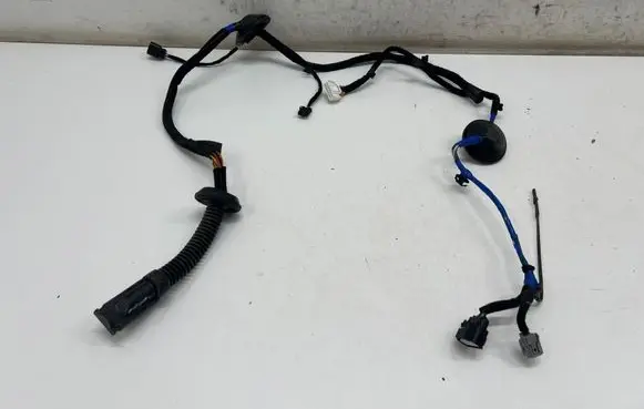 KIA EV6 Rear door wiring loom 91620CV520A