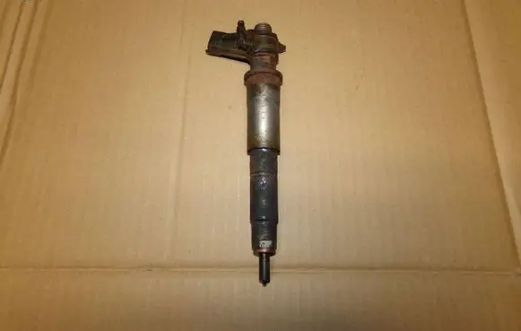 Renault Laguna III Fuel injector 0445115084
