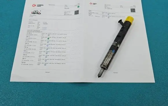 Renault Scenic II - Grand scenic II Fuel injector EJBR02101Z IMPRK1404584