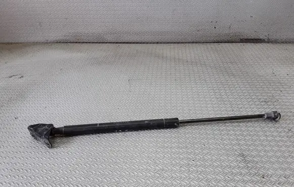 Tailgate/trunk strut/damper
