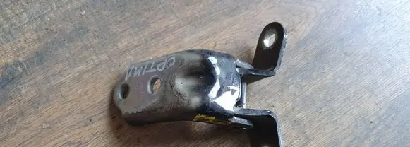 KIA Optima Front door lower hinge 