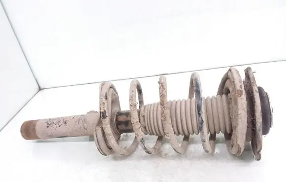 Peugeot 206 Front shock absorber with coil spring