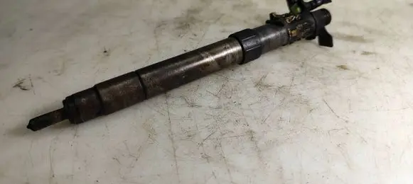Ford S-MAX Fuel injector 9686191080