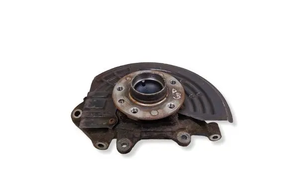 Jeep Compass Rear wheel hub 00100026730 00618 00161