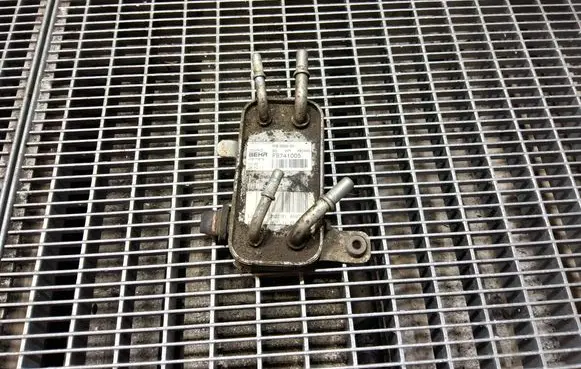 Land Rover Range Rover Sport L320 Fuel cooler (radiator) PIB500052 F8741005 450490