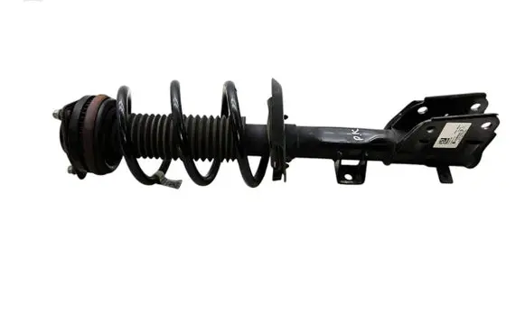 Front shock absorber with coil spring