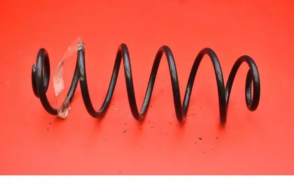 Rear coil spring