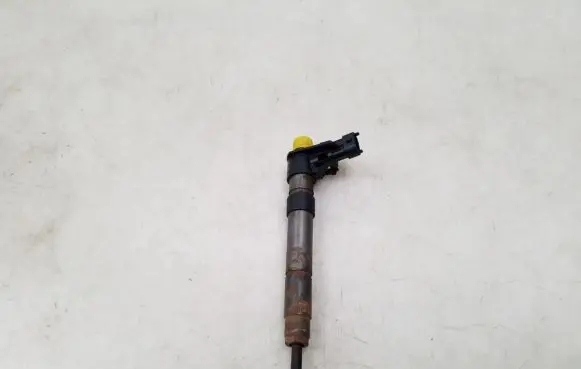 Citroen C5 Fuel injector 9687454380