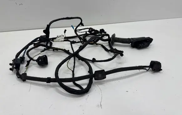 BMW 5 F10 F11 Front door wiring loom 9256002 2000982 BFFF10F11
