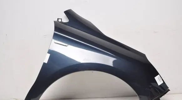 Citroen C4 II Front mudguard 