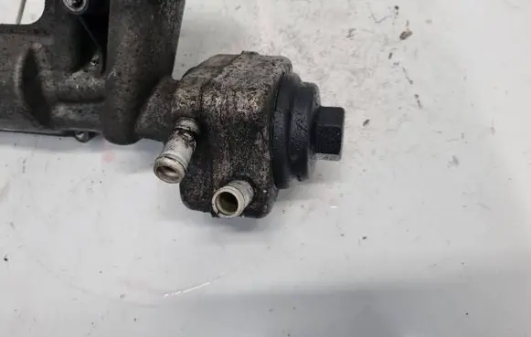 Volkswagen PASSAT B5.5 Engine oil radiator 